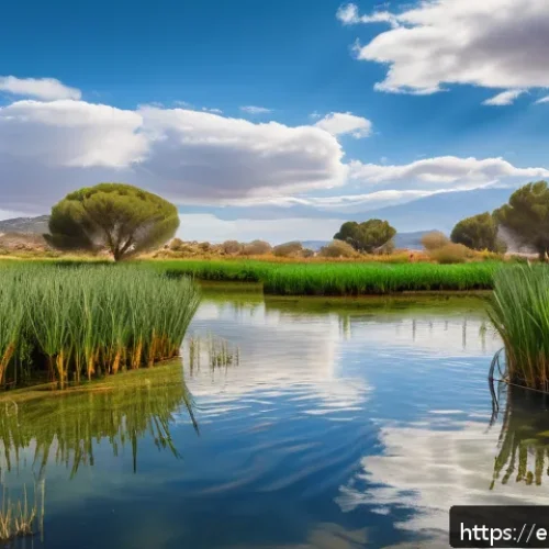 오리의 물가 서식지 선택 - A serene wetland scene in southern Spain during early spring, featuring a clear, shallow pond with a...