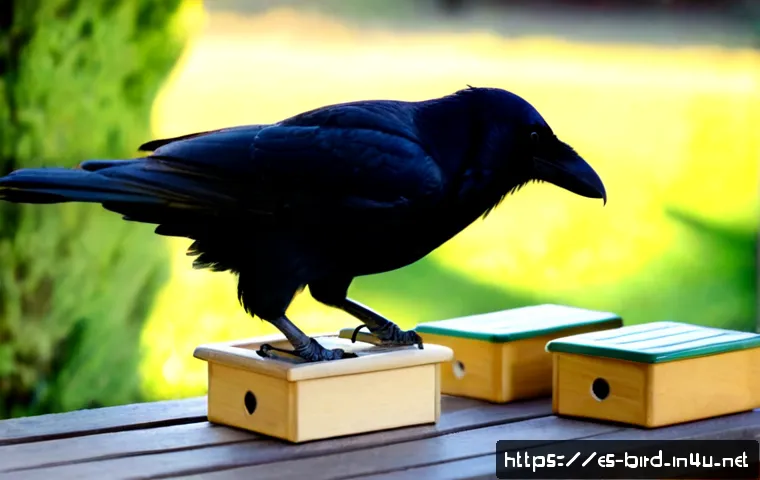 Home 17 까마귀의 기억력 실험 - Photorealistic wildlife cognition experiment, a glossy black raven perched beside a simple wooden pu...